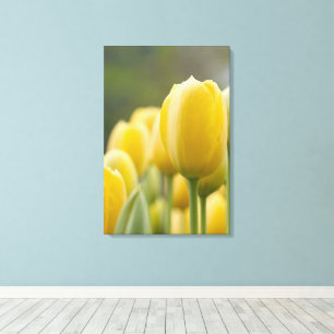 Tulp opstaan canvas afdruk