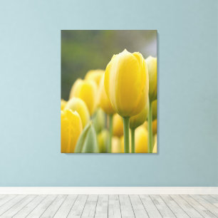 Tulp opstaan canvas afdruk