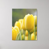 Tulp opstaan canvas afdruk (Voorkant)