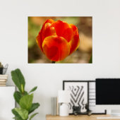 Tulp Oranje Poster (Thuiskantoor)