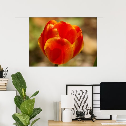 Tulp Oranje Poster (Thuiskantoor)