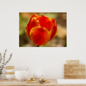 Tulp Oranje Poster (Keuken)