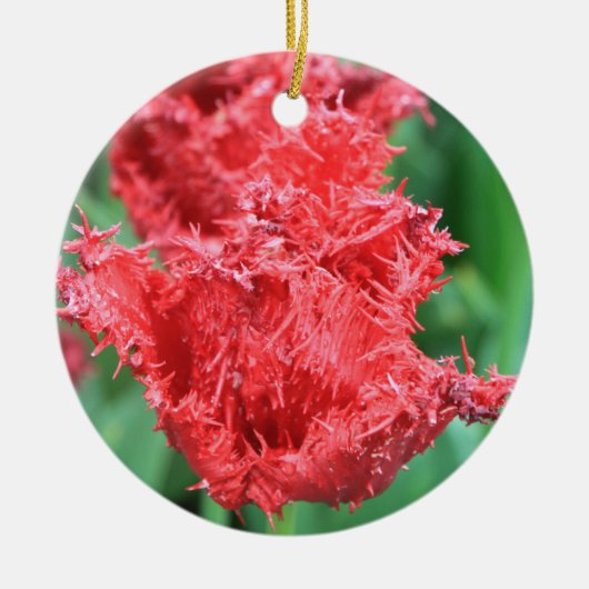 Tulp Ornament (Voorkant)