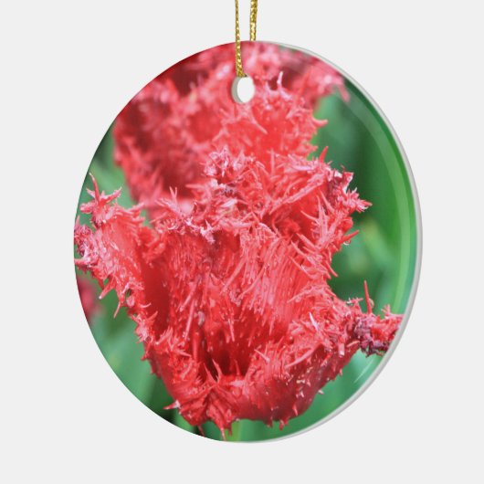 Tulp Ornament (Links)