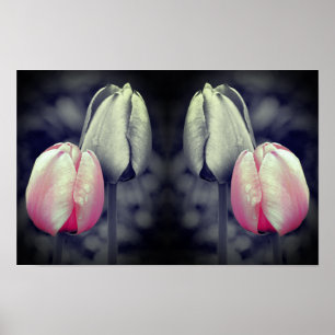 Tulp paar kunst zwart en wit gedeeltelijke kleur poster