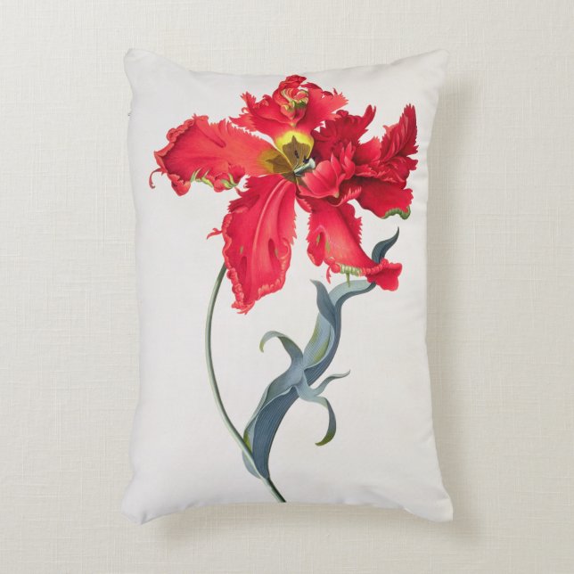 Tulp: Perroquet Rouge Accent Kussen (Voorkant(Verticaal))