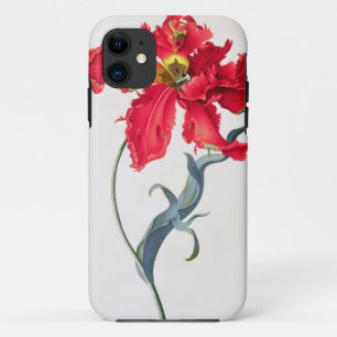 Tulp: Perroquet Rouge iPhone 11 Hoesje