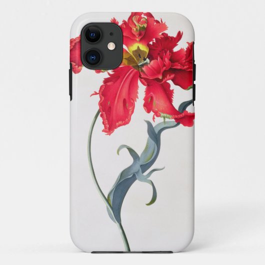 Tulp: Perroquet Rouge Case-Mate iPhone Case (Achterkant)