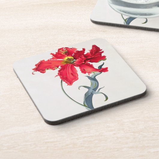Tulp: Perroquet Rouge Drankjes Onderzetter (Linkerzijde)