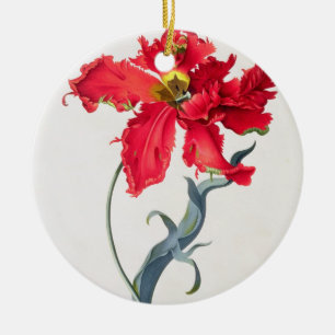 Tulp: Perroquet Rouge Keramisch Ornament