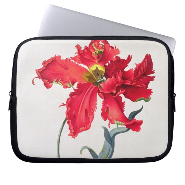 Tulp: Perroquet Rouge Laptop Sleeve (Voorkant)