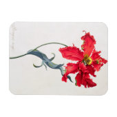 Tulp: Perroquet Rouge Magneet (Horizontaal)