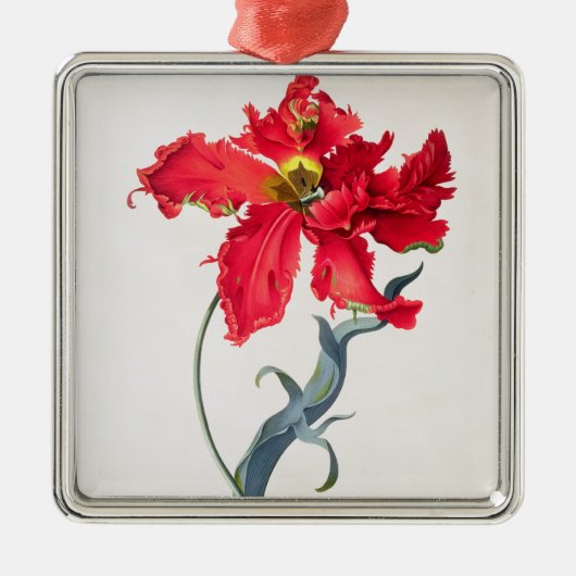 Tulp: Perroquet Rouge Metalen Ornament (Voorkant)