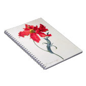 Tulp: Perroquet Rouge Notitieboek (Rechterzijde)