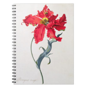 Tulp: Perroquet Rouge Notitieboek