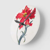 Tulp: Perroquet Rouge Ronde Klok (Hoek)