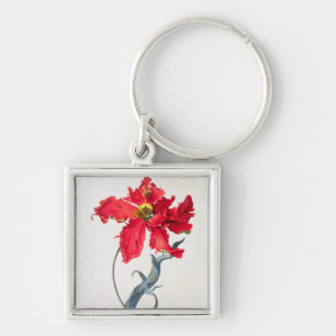 Tulp: Perroquet Rouge Sleutelhanger