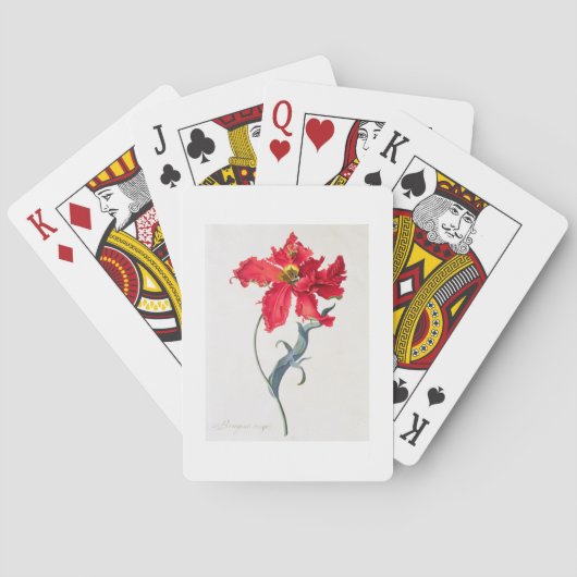 Tulp: Perroquet Rouge Speelkaarten (Achterkant)