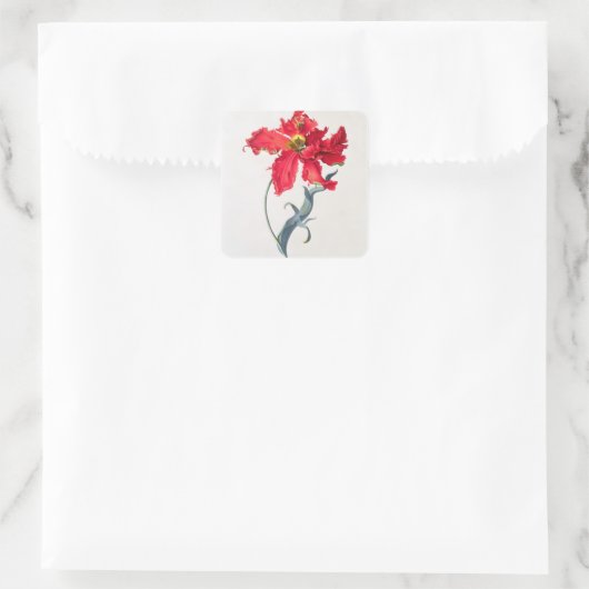 Tulp: Perroquet Rouge Vierkante Sticker (Tas)