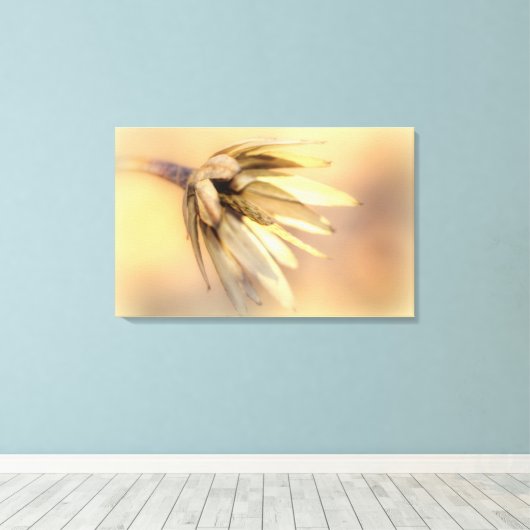 Tulp Poplar Empty Seed Pod Canvas Afdruk (Insitu (Houten vloer))