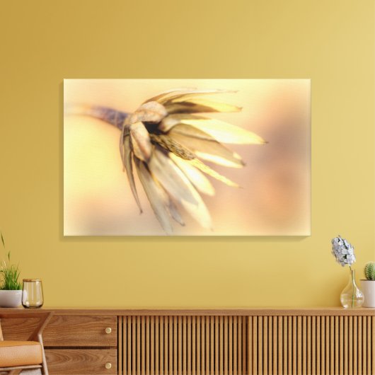 Tulp Poplar Empty Seed Pod Canvas Afdruk (Insitu (Woonkamer))
