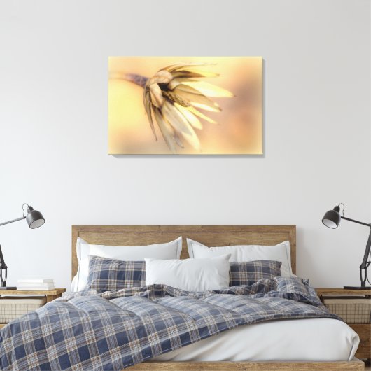 Tulp Poplar Empty Seed Pod Canvas Afdruk (Insitu (Slaapkamer))