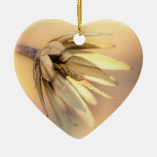 Tulp Poplar Empty Seed Pod Keramisch Ornament (Voorkant)