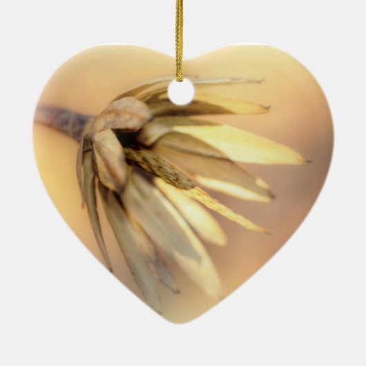 Tulp Poplar Empty Seed Pod Keramisch Ornament (Achterkant)