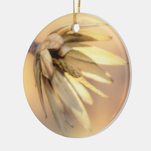 Tulp Poplar Empty Seed Pod Keramisch Ornament (Links)