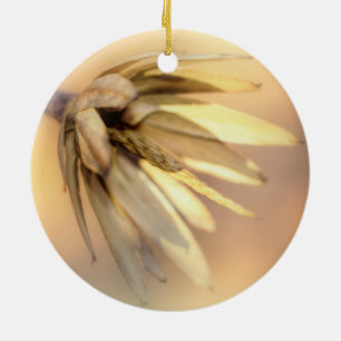 Tulp Poplar Empty Seed Pod Keramisch Ornament