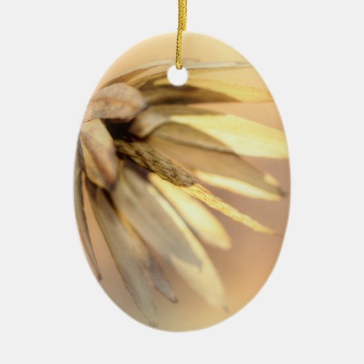 Tulp Poplar Empty Seed Pod Keramisch Ornament (Voorkant)