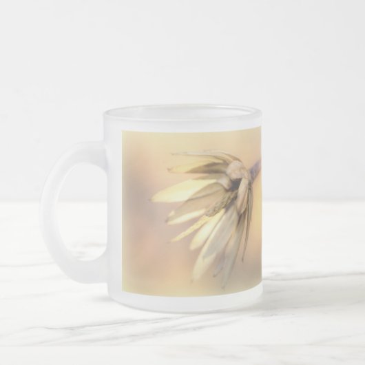 Tulp Poplar Empty Seed Pod Matglas Koffiemok (Links)