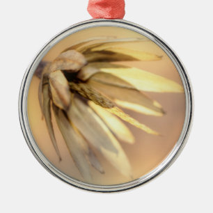 Tulp Poplar Empty Seed Pod Metalen Ornament