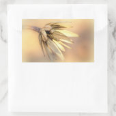 Tulp Poplar Empty Seed Pod Rechthoekige Sticker (Tas)