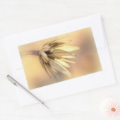 Tulp Poplar Empty Seed Pod Rechthoekige Sticker (Envelop)