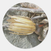 Tulp Populier Seedhead Stickers (Voorkant)