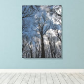 Tulp Populierbomen Bewolkte Blauwe Hemel Canvas Afdruk (Insitu (Houten vloer))