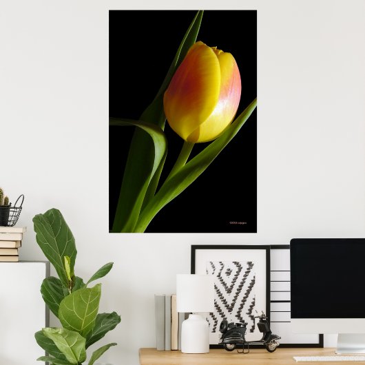 Tulp Poster (Thuiskantoor)