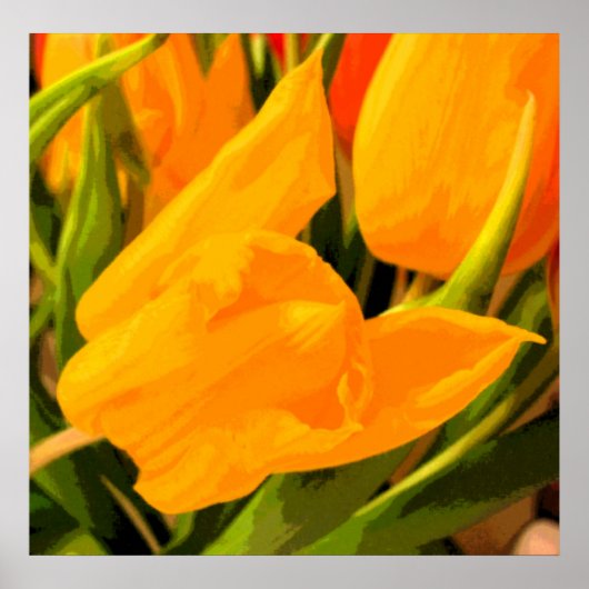 Tulp Poster (Voorkant)