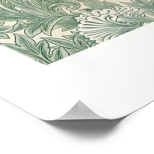 Tulp Poster (Hoek)