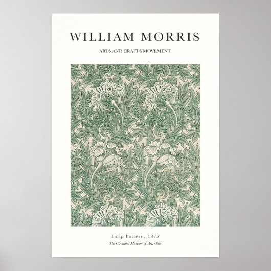 Tulp Poster (Voorkant)