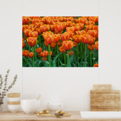 Tulp Poster (Keuken)