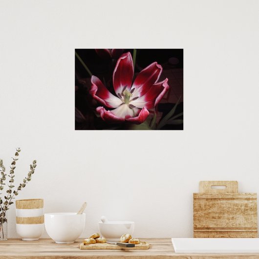 Tulp Poster (Keuken)