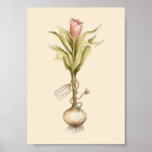 Tulp - Poster
