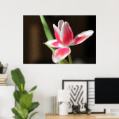 Tulp Poster (Thuiskantoor)