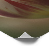 Tulp Poster (Hoek)