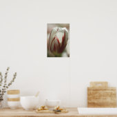 Tulp Poster (Keuken)