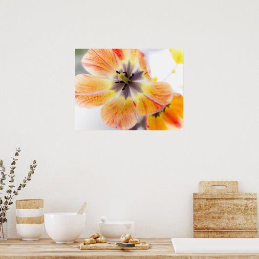 Tulp Poster 61cm x 46cm (Keuken)