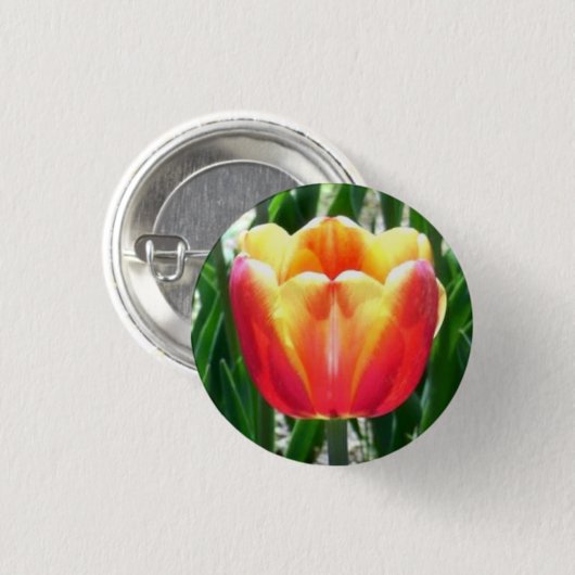 Tulp Ronde Button 3,2 Cm (Voorkant /achterkant)