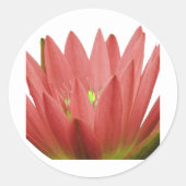 Tulp Ronde Sticker (Voorkant)